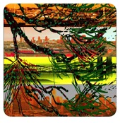 collage_image