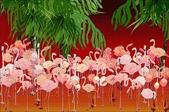 Flamingo_Art01_m